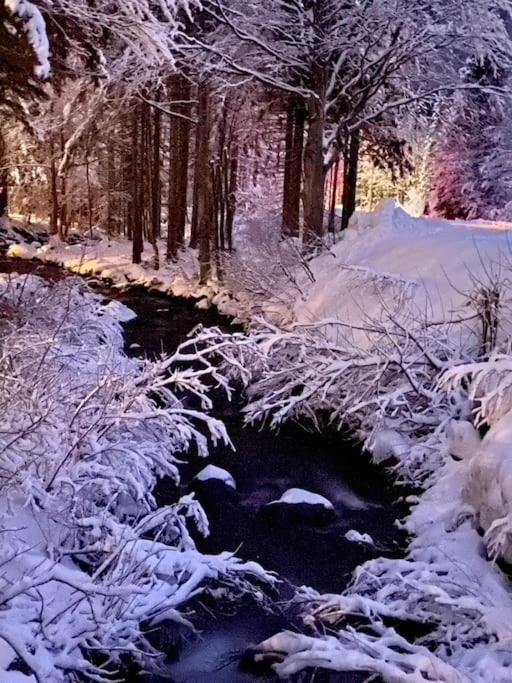 La Casetta Sulla Neve 阿贝托内 外观 照片